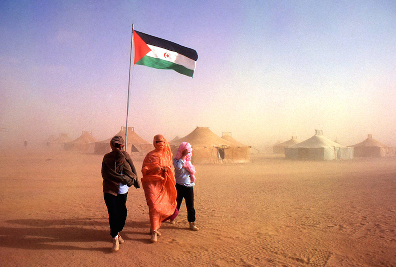 Un grupo de saharauis enarbola su bandera.