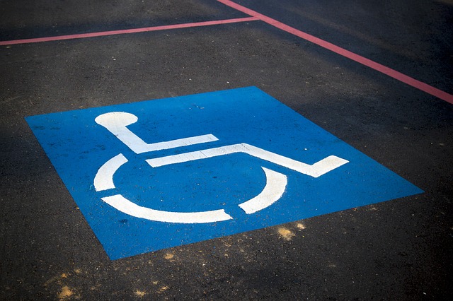 El CERMI denuncia los obstáculos de personas con discapacidad en la ONU