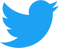 La decisión de Twitter de disolver el consejo de seguridad hace peligrar el bienestar de sus usuarios y usuarias