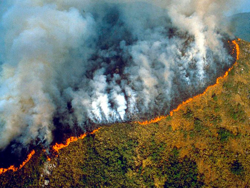 Denuncian a Bolsonaro para que cumpla los compromisos del Brasil sobre el cambio climático y combata la desforestación