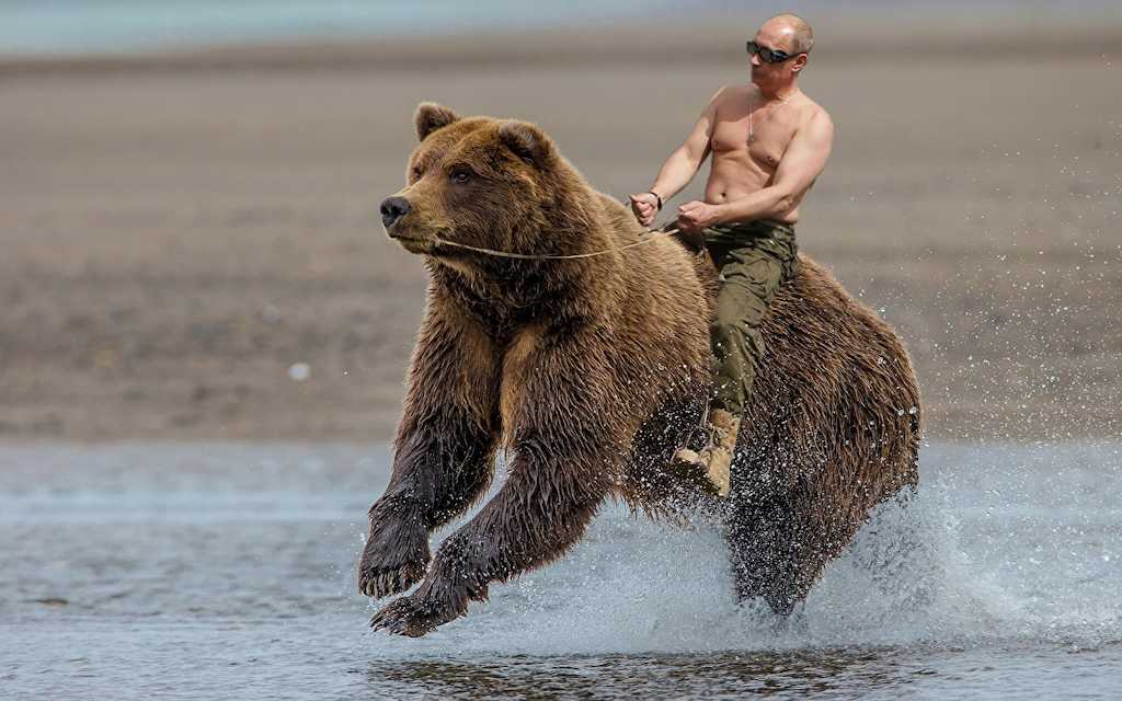 El presidente Vladímir Putin, en uno de sus números exhibicionistas.